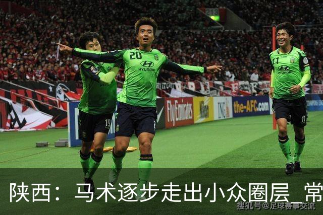 陕西：马术逐步走出小众圈层 常年参训人数达数千人